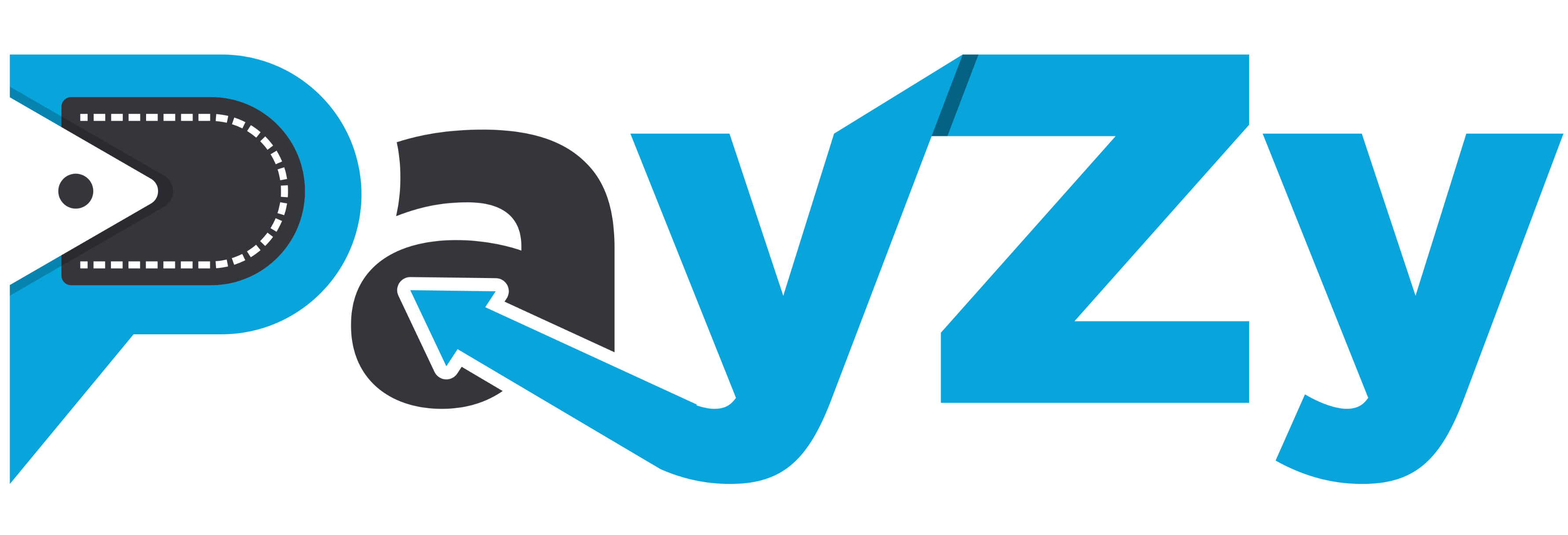 Payzy Stores